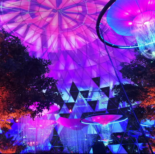 Festervial lighting case